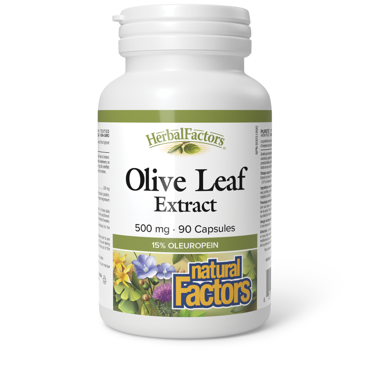 Natural Factors Olive Leaf Extract 500 mg 90 Capsules