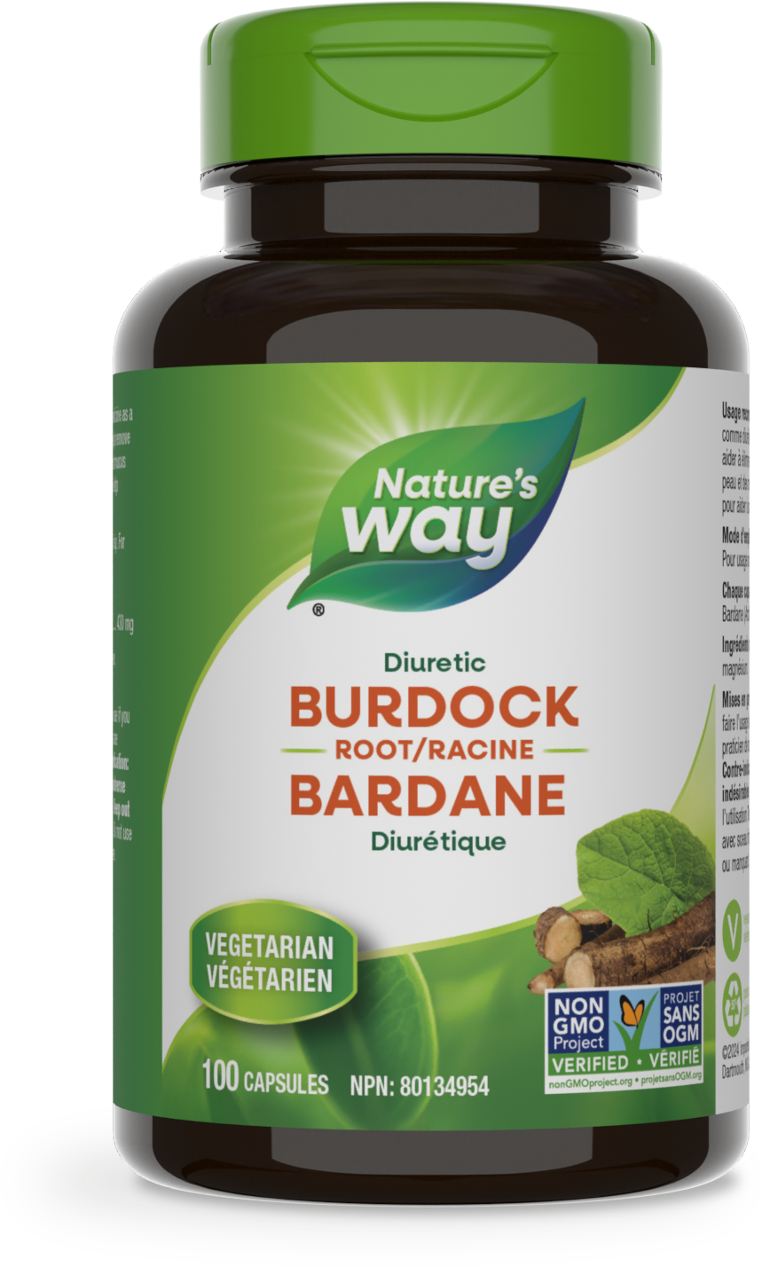 Burdock Root