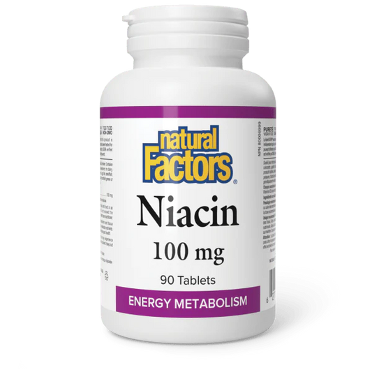 Vitamin B3 100 mg, 90 Tablets - Natural Factors
