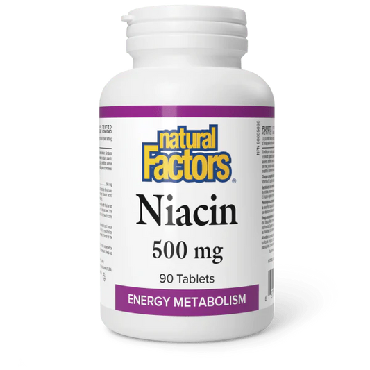 Vitamin B3 500 mg, 90 Tablets - Natural Factors