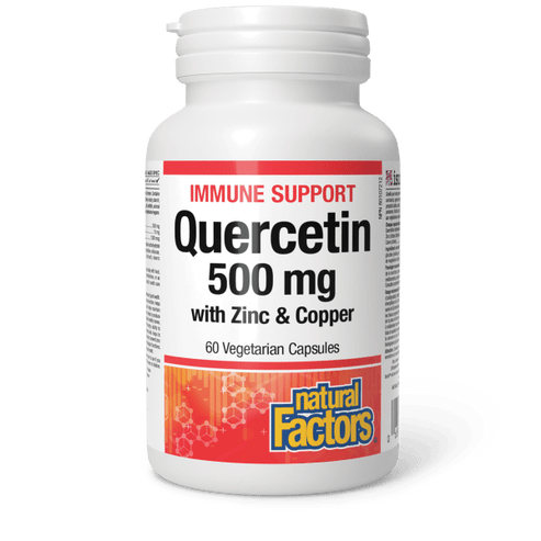 Quercetin 500 mg with Zinc & Copper 60 Vegetarian Capsules