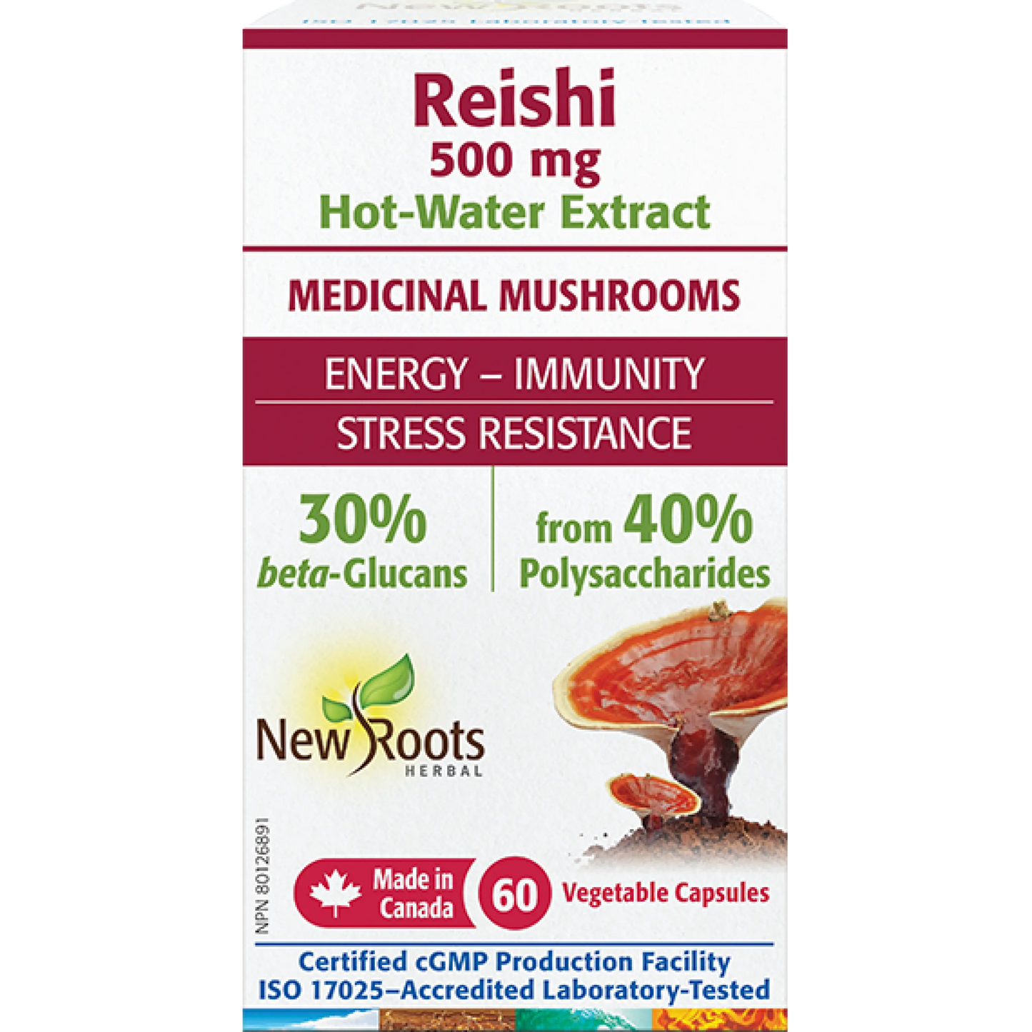 Reishi 500 mg 60 Capsules