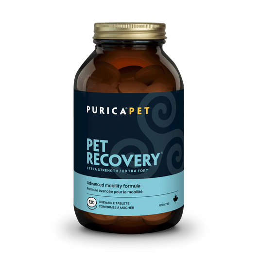 Purica Pet Recovery Extra Strength Chewables, 120 chews