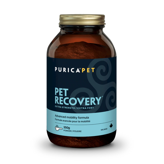 Purica Pet Recovery Extra Strength Powder, 350 g