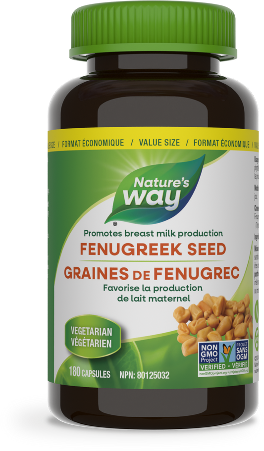Fenugreek Seed