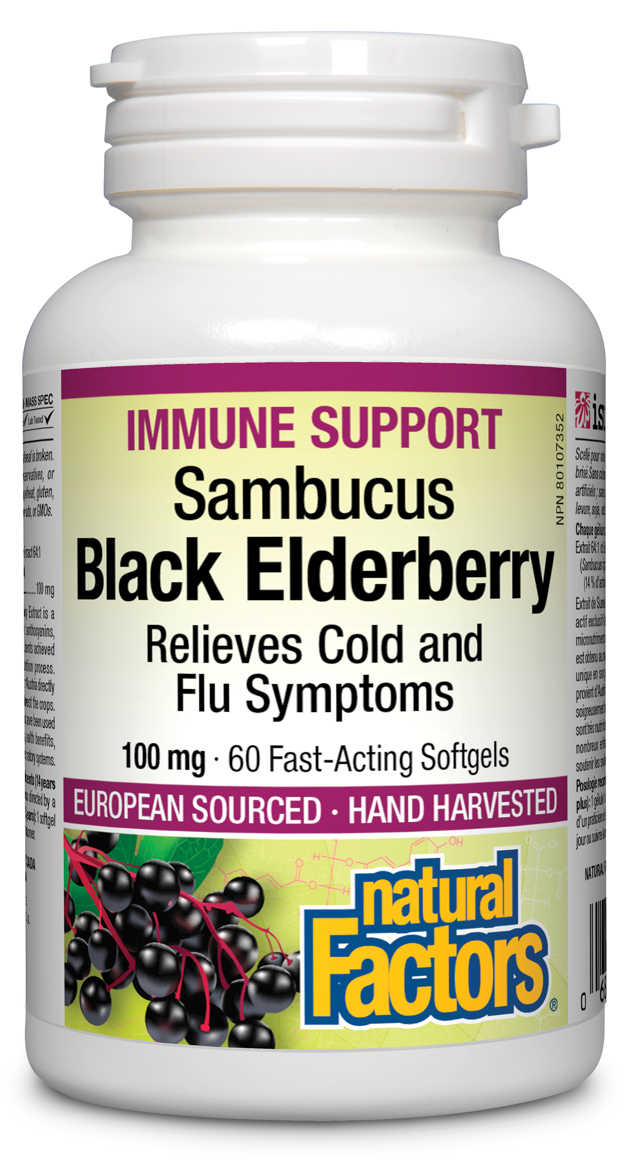 Natural Factors Black Elderberry Standardized Extract 100 mg 60 Softgels