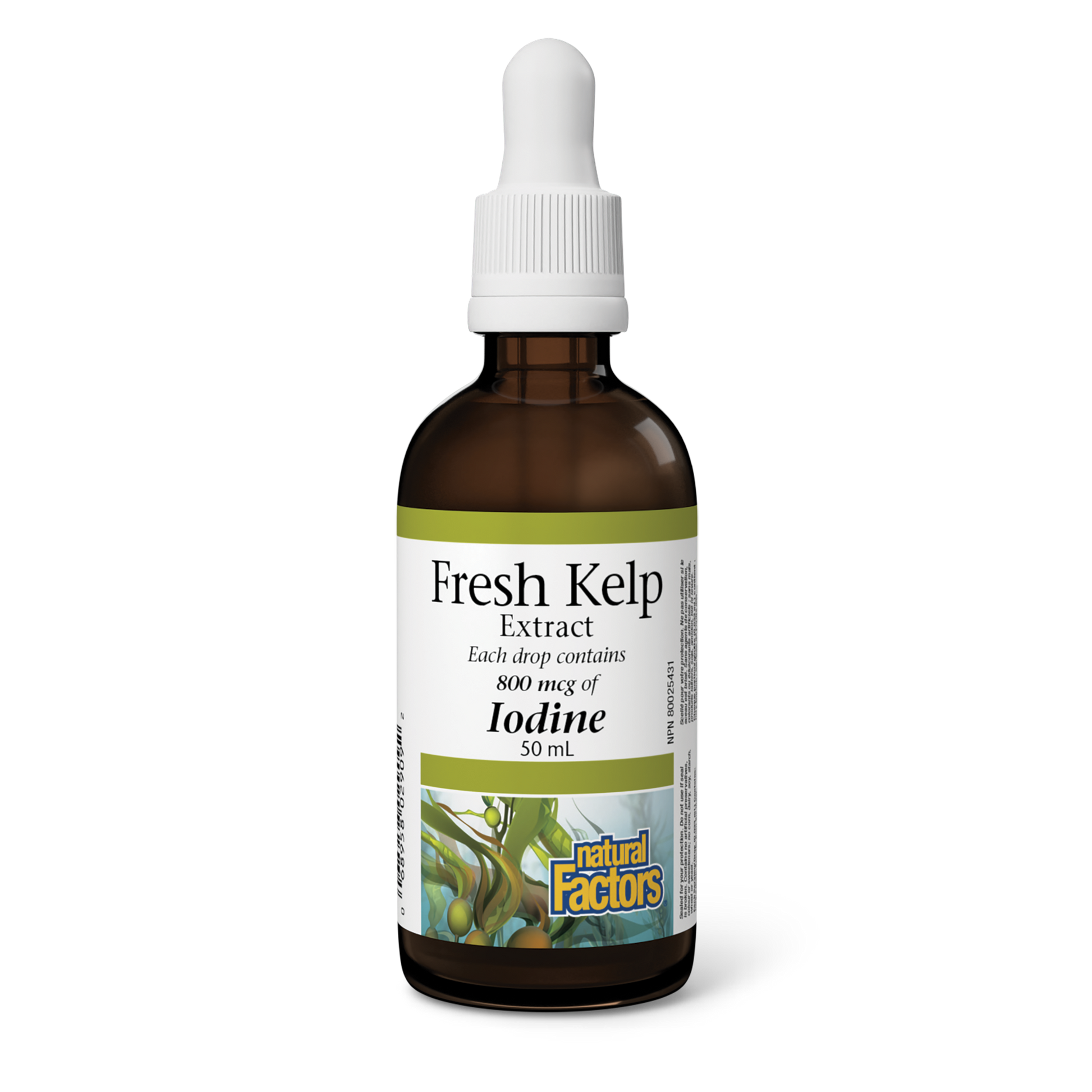 Natural Factors Fresh Kelp Extract 800 mcg of iodine 50 mL Liquid