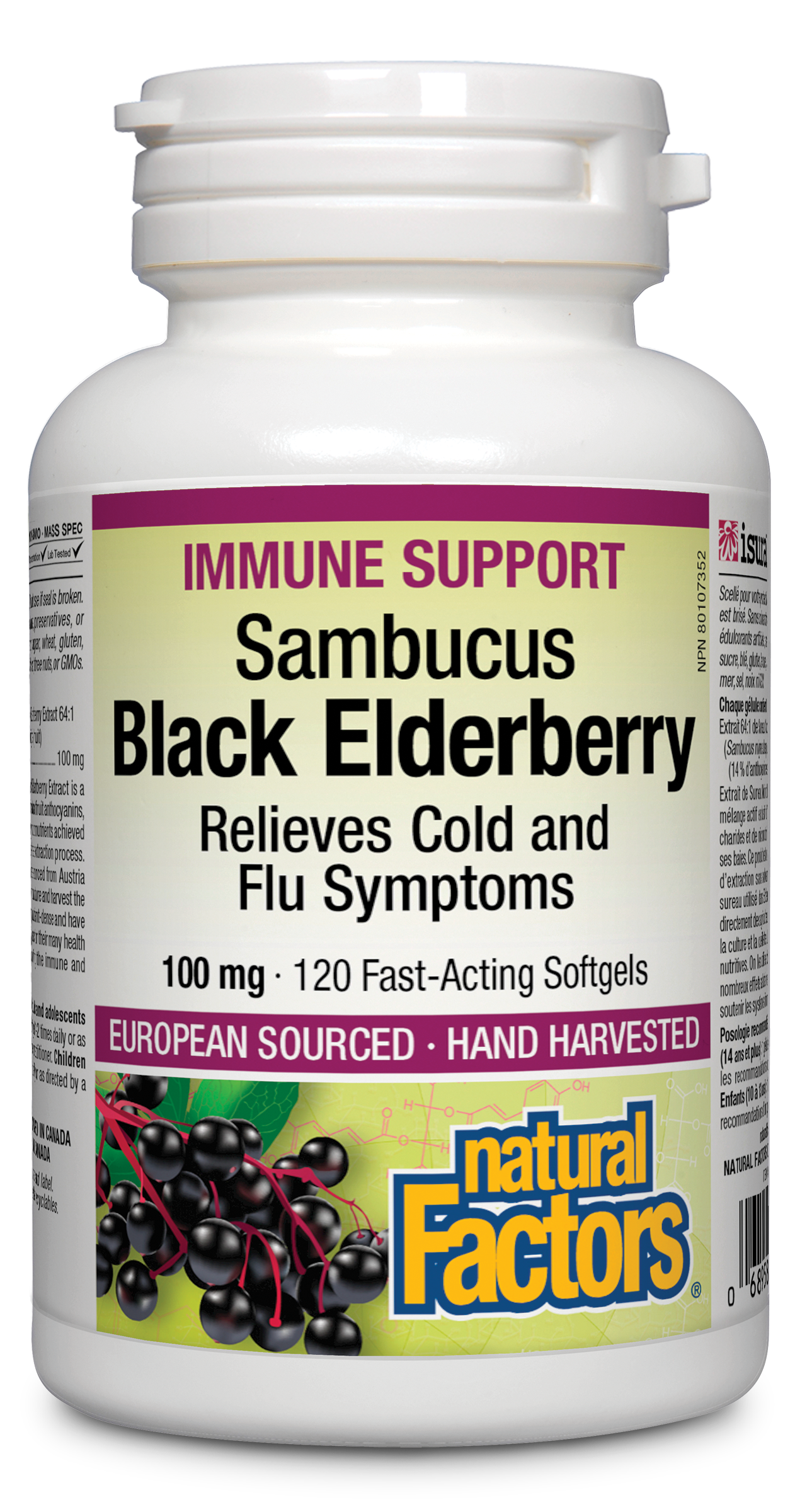 Natural Factors Black Elderberry Standardized Extract 100 mg 120 Softgels