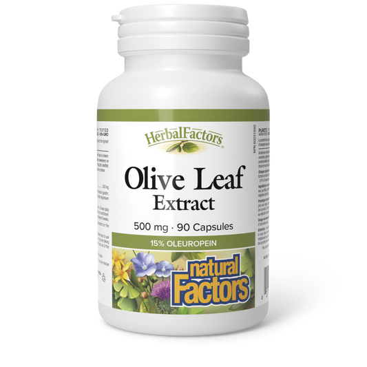 Natural Factors Olive Leaf Extract 500 mg 90 Capsules