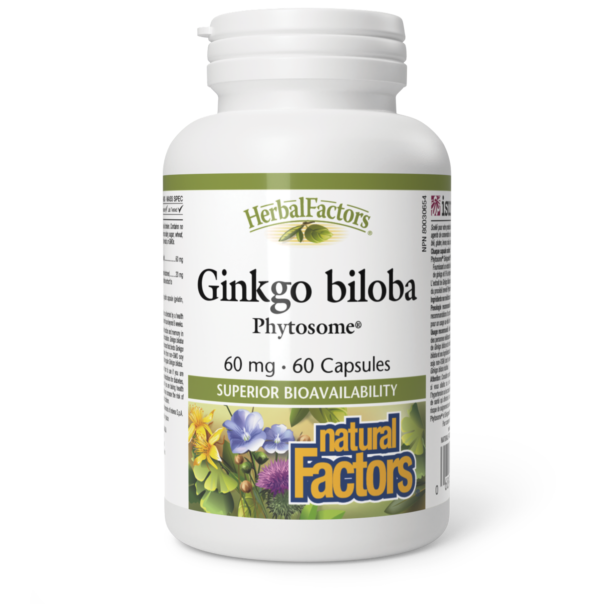 Natural Factors Ginkgo biloba Phytosome 60 mg 60 Capsules