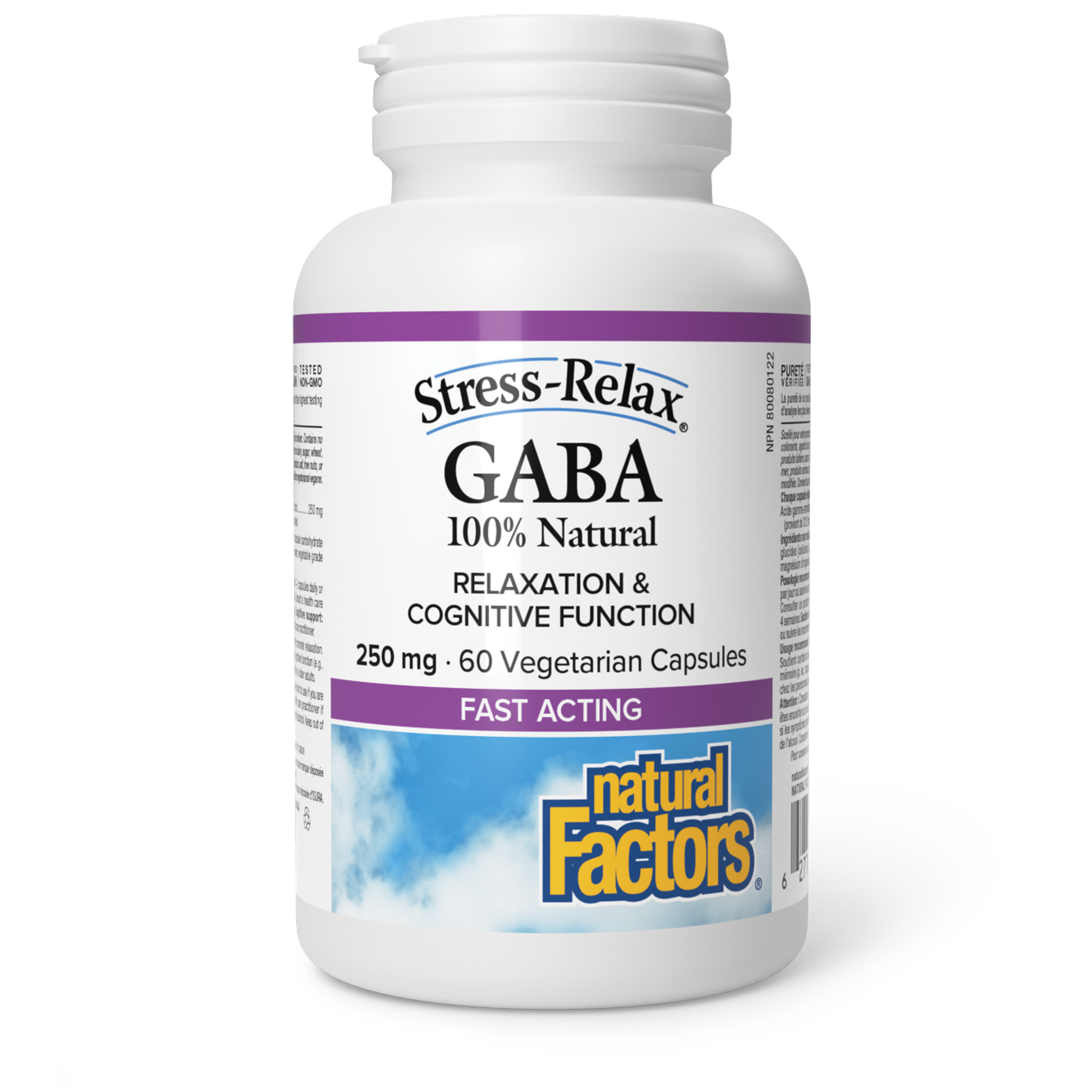 Natural Factors GABA 100% Natural 250 mg 60 Vegetarian Capsules