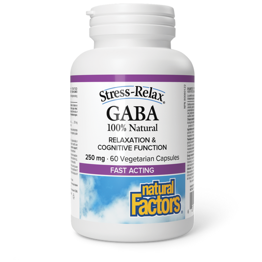 Natural Factors GABA 100% Natural 250 mg 60 Vegetarian Capsules