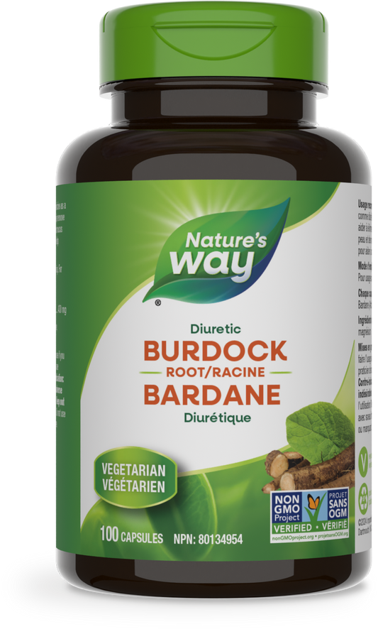 Burdock Root